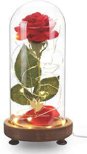 Red Rose Glass Dome- WD Base